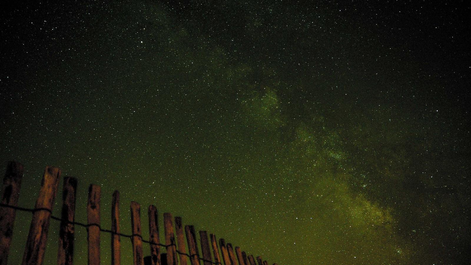 Cell Phone Number Search: How to Identify Unknown Callers and Protect Your Privacy with SearchforSue