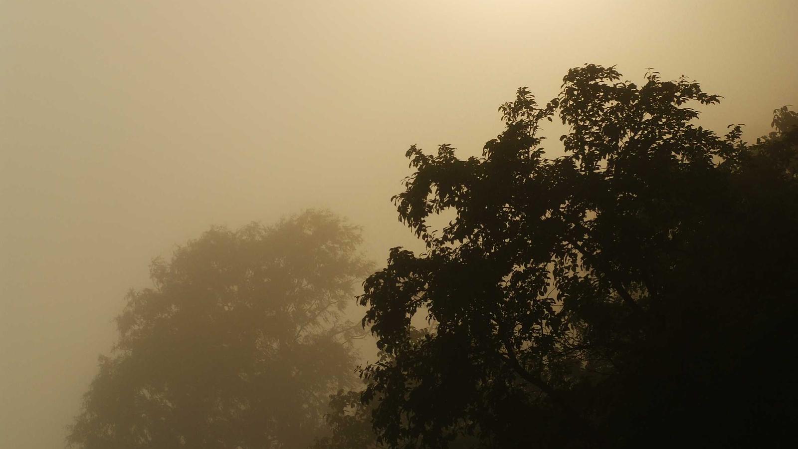 Ohio Phone Number Search: Protect Your Privacy and Identify Callers