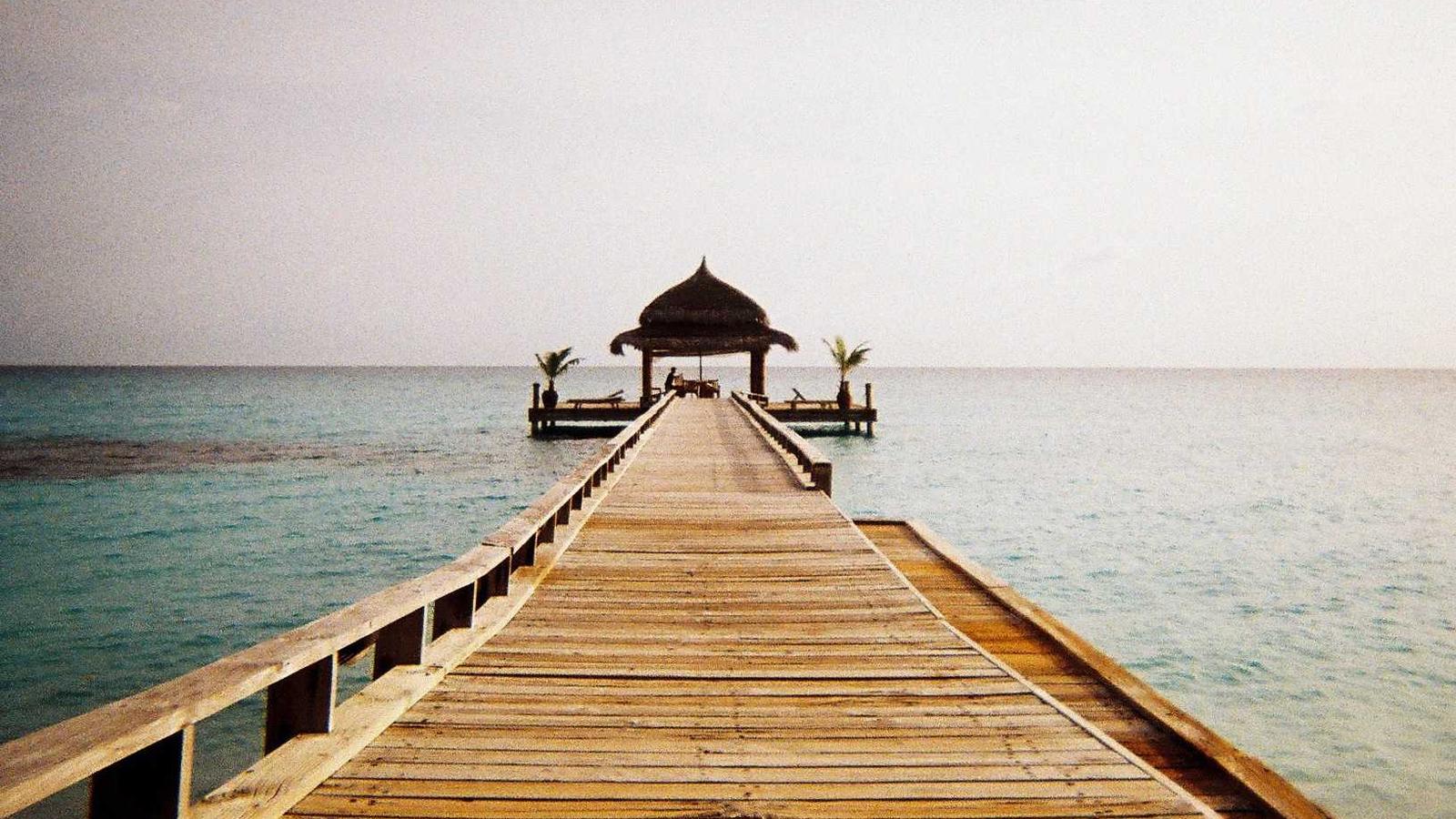 Person Phone Number Search: How to Find Who Called & Protect Your Privacy